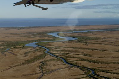 Mud Flats