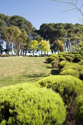 Barossa Valley