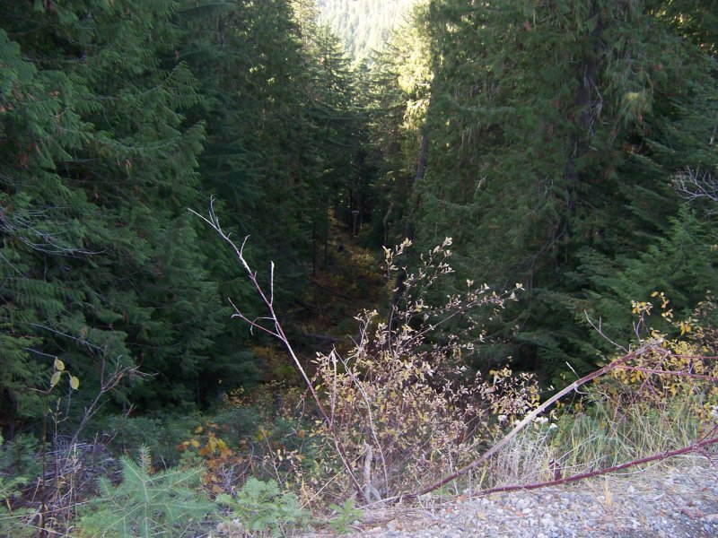 100_2638.jpg