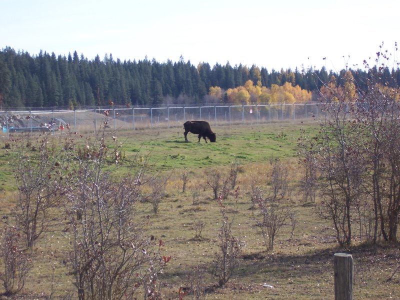 100_2641.jpg