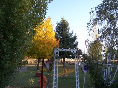 Fall 2008