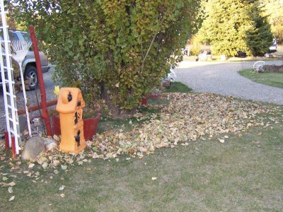 100_2615.jpg