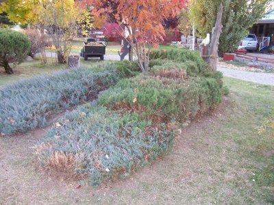 100_2620.jpg