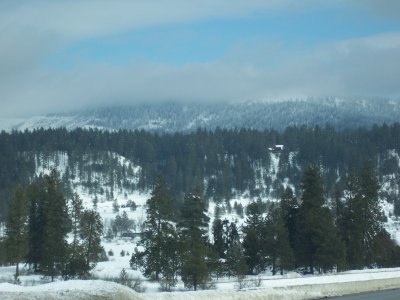 100_1873.jpg