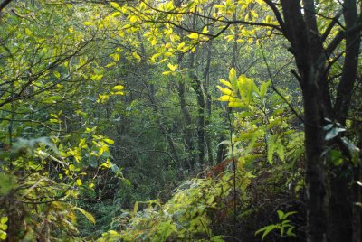 DSC_0125-w.jpg