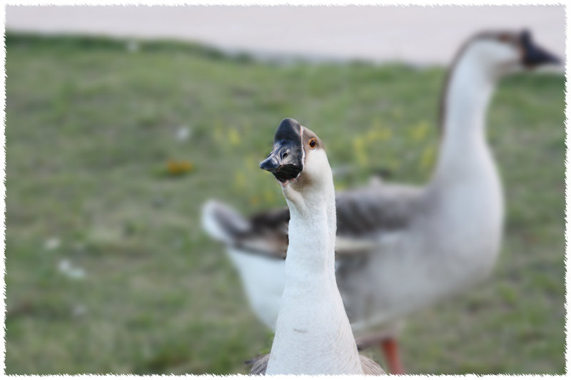 Park_IMG_2943.jpg