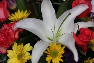 IMG_1816a.jpg