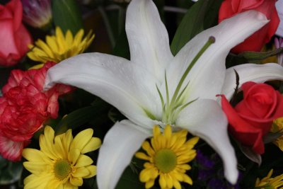 IMG_1818c.jpg