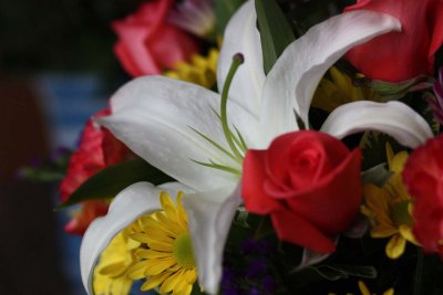 IMG_1819d.jpg