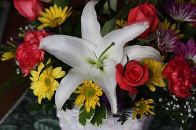 IMG_1821f.jpg