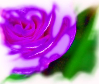 IMG_1822c.jpg
