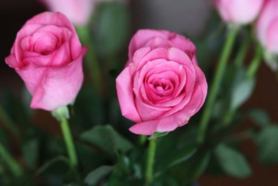 IMG_1823h.jpg