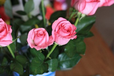 IMG_1836u.jpg