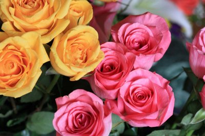 IMG_1845ad.jpg