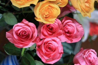 IMG_1846ae.jpg