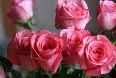 IMG_1856ao.jpg