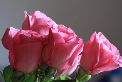 IMG_1859ar.jpg