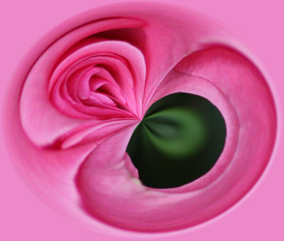 IMG_1822a_Twirled.jpg