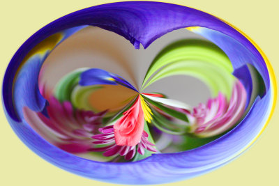IMG_1824_Twirled.jpg