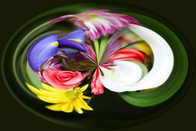 IMG_1826_Twirled.jpg