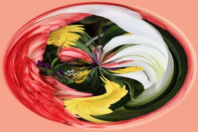 IMG_1832b_Twirled.jpg