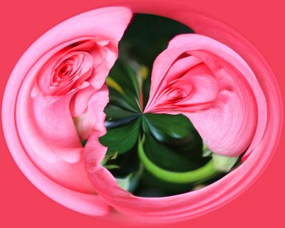 IMG_1836-Roses_Mix.jpg