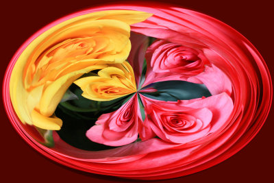 IMG_1845_Twirled.jpg