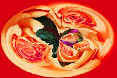 IMG_1848_Twirled.jpg