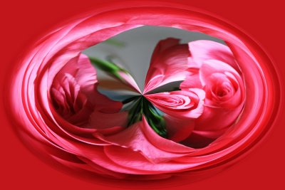 IMG_1857_Twirled.jpg
