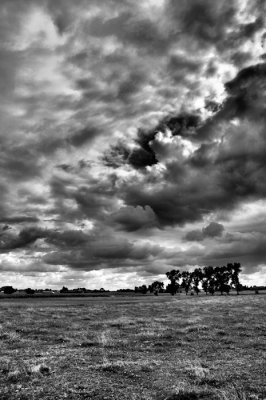 landscape.jpg