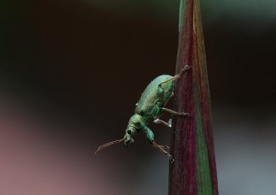 DSC_3280.jpg