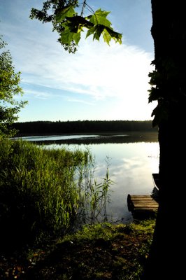 g1/49/553549/3/107941927.PjsGGAdz.jpg