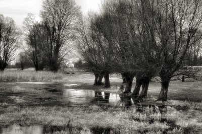 DSC_3063.jpg