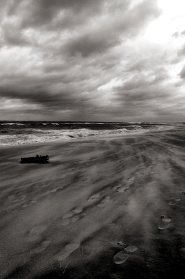 DSC_7203pspbwdx.jpg