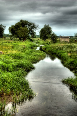 DSC_3319.jpg