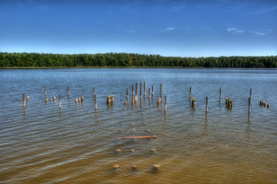 DSC_6360.jpg