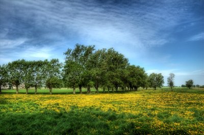 DSC_2274.jpg