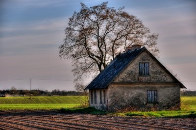 DSC_1407.jpg