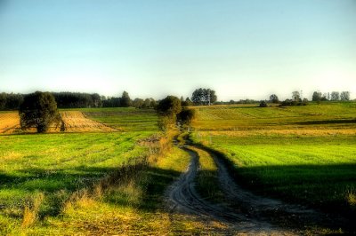 DSC_4987.jpg