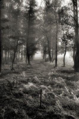 DSC_5651.jpg