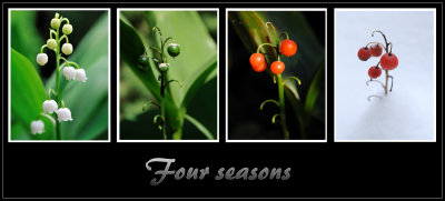 Four seasons 2010.jpg