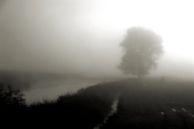Morning mist.jpg