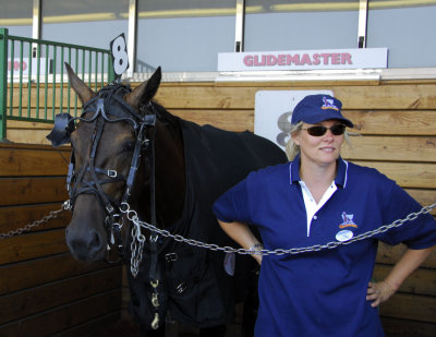 21. Hambo paddock 1