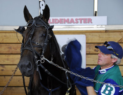 22. Hambo paddock 2