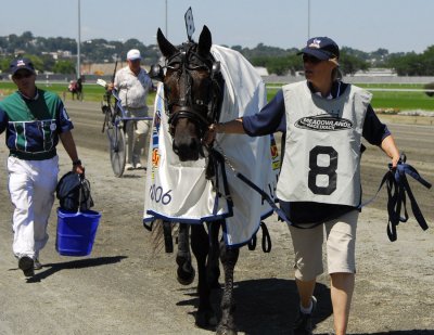 19. Glidemaster to Hambo paddock