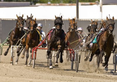 24. Hambo turn