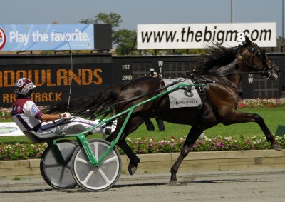 25. Glidemaster Hambo finish