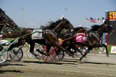 23. Hambo Start
