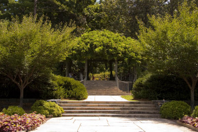 Duke Gardens