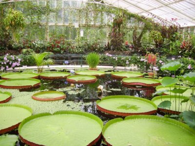 Kew Gardens (2)